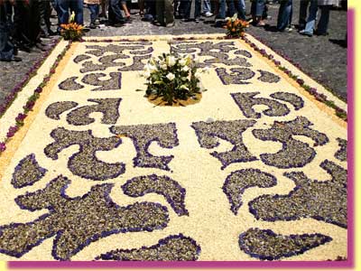 Carpet in front of the Cathedral in the main square ... a combination of sawdust and flower petals and fresh flowers ... click to see a large image