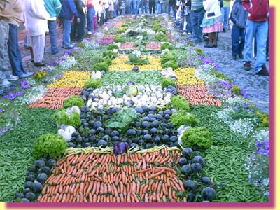 Carrots, hot & sweet peppers, jalapenos, peas, green beans, lettuces, cauliflowers ... click to see a large image