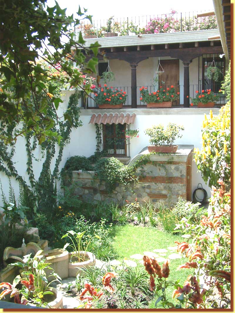 March 2003 ... the garden is growing ... Barbara's project ... flowers grow in Antigua all year